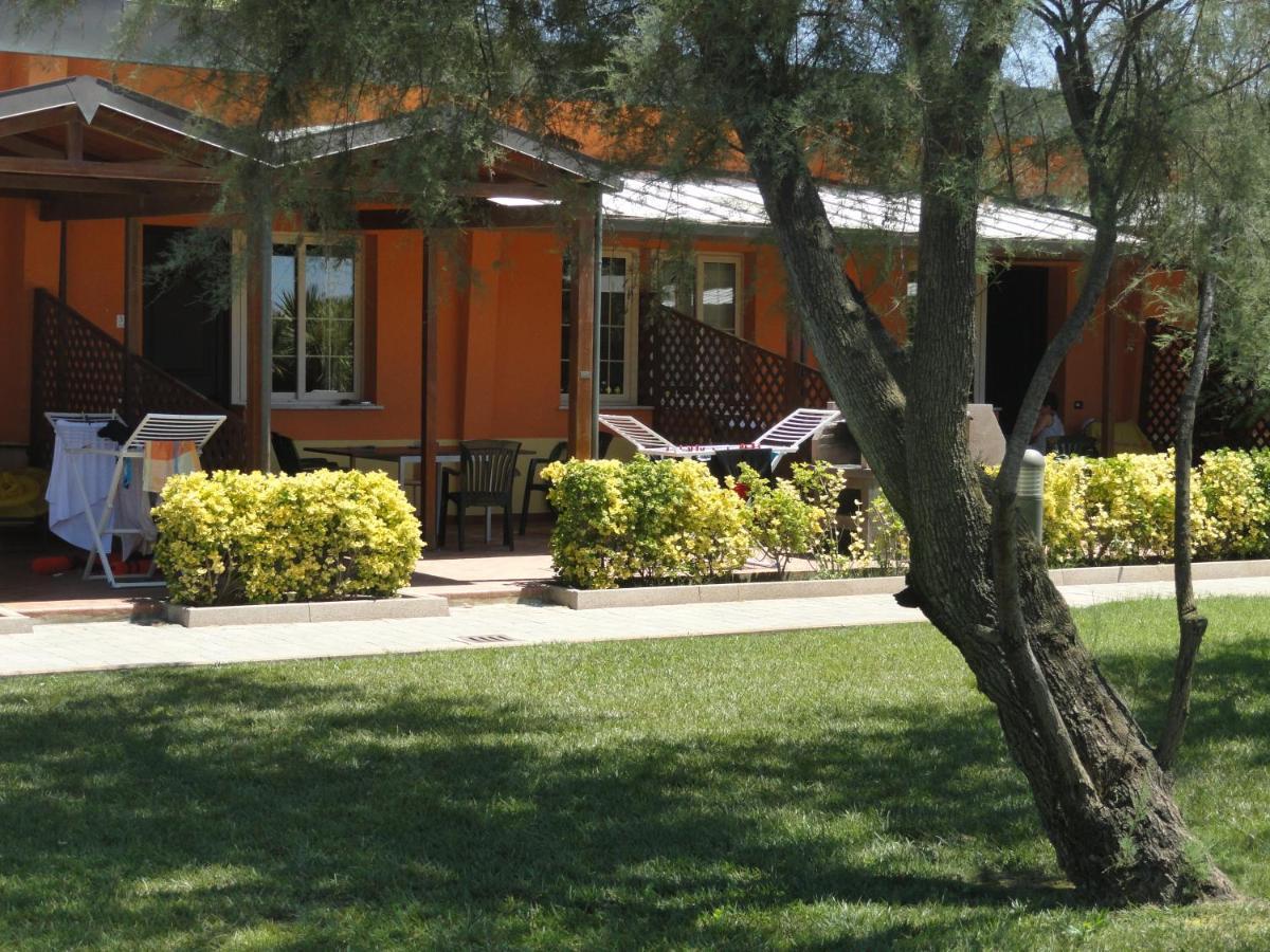 Oasi Del Mare Aparthotel Tirrenia Exterior photo